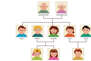 Từ Vựng Về Gia Đình Trong Tiếng Anh
