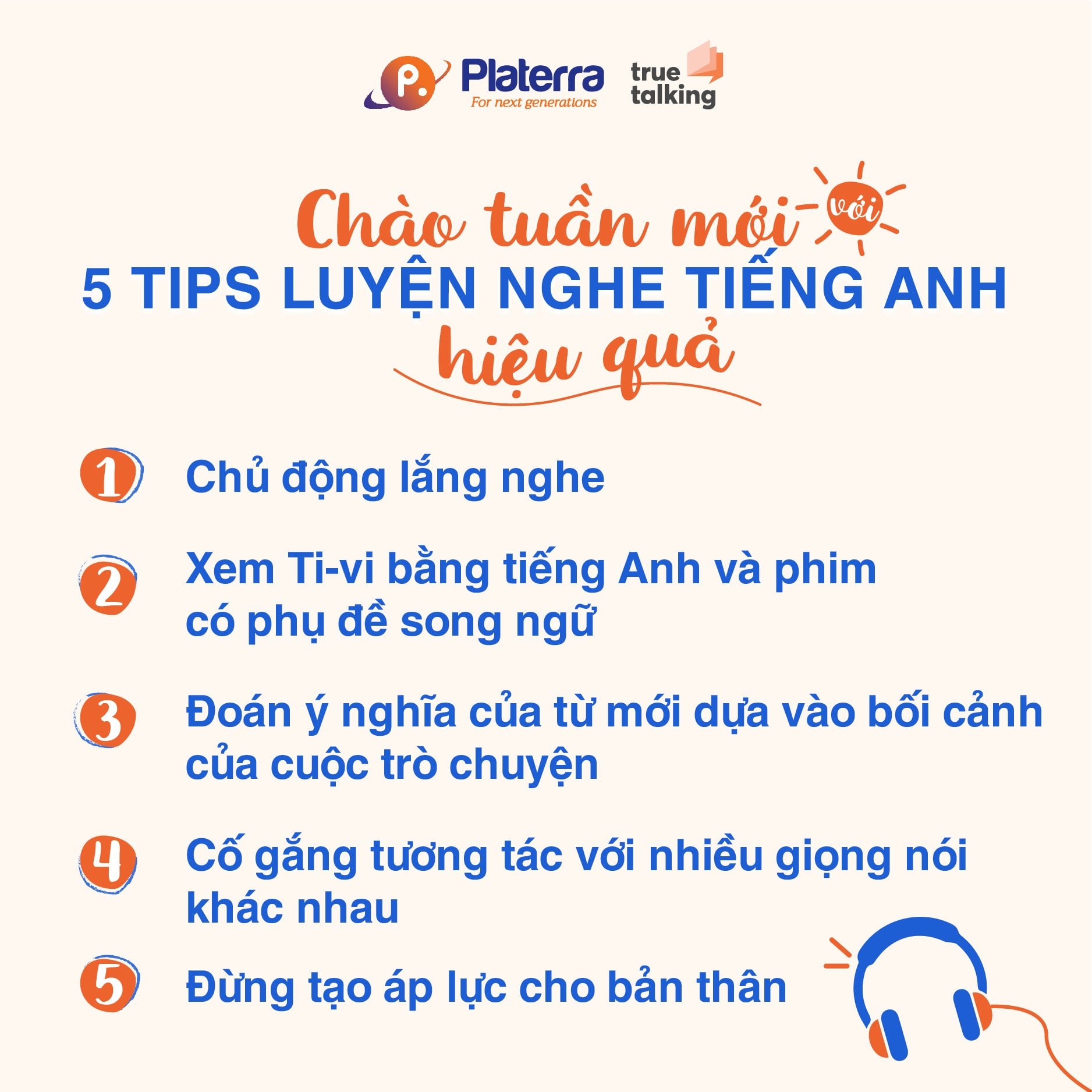 Từ vựng chính là “gốc rễ”