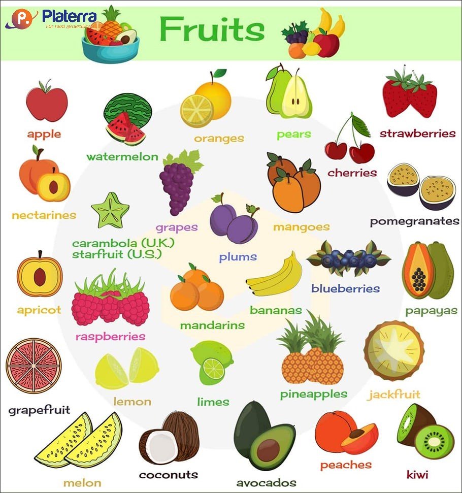 Một số từ vựng tiếng anh về chủ đề hoa quả, trái cây phần 5
